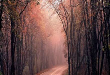 九游娱乐：西甲｜巴萨大胜皇家社会登顶榜首.