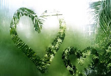 蛇年首战，王楚钦“零封”对手北京晚报微信公众号.