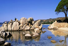 九游娱乐：丹麦羽球公开赛：杨佳敏止步八强.